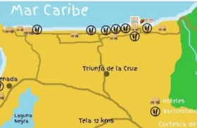 carte cocotours Carte cocotours