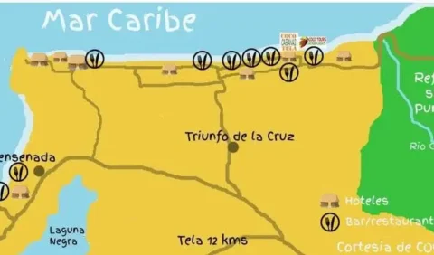 Carte cocotours