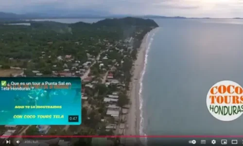 video-cococabanas Video cococabanas